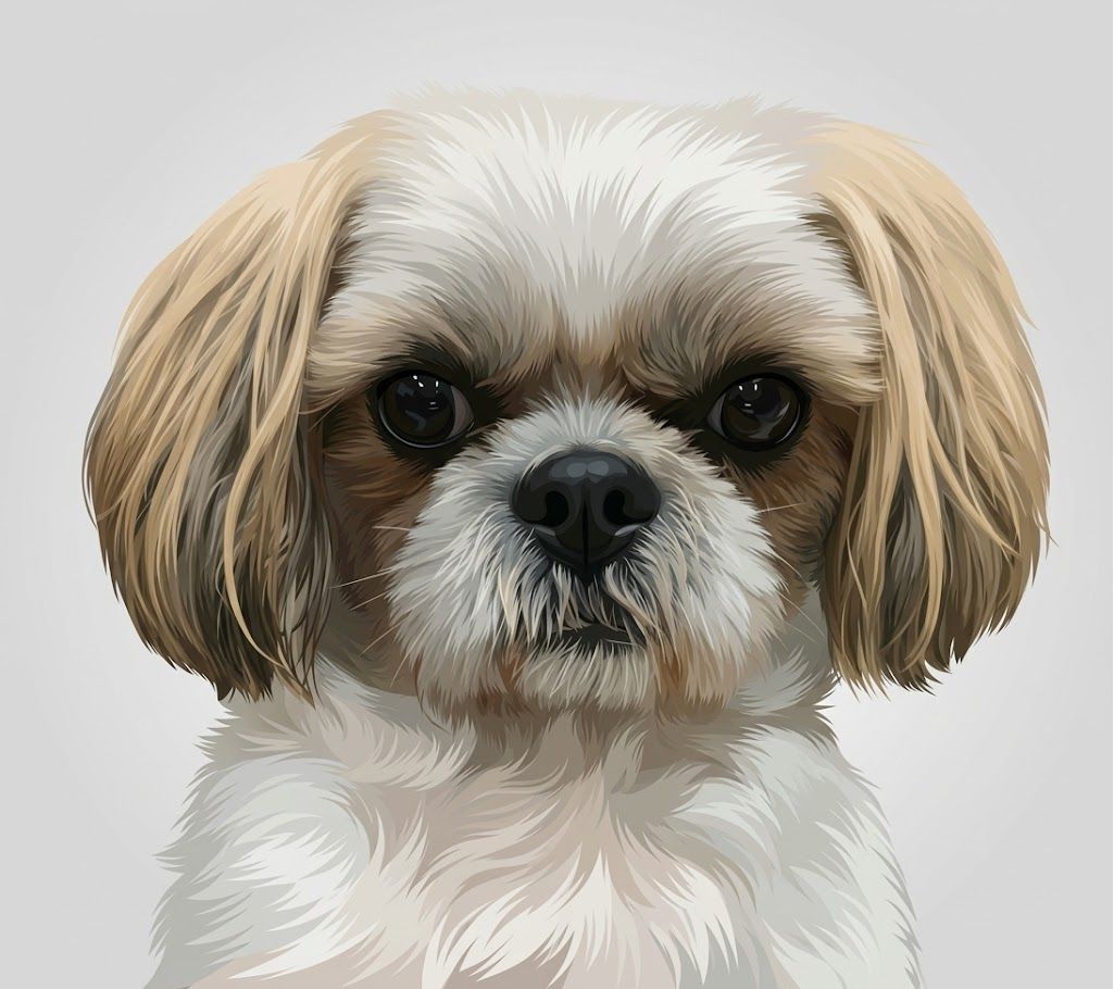 Temporary photo to be replaced with a portrait of Cookie